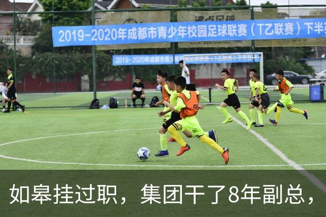 如皋挂过职，集团干了8年副总，朱峭嵘这步棋终究没走稳