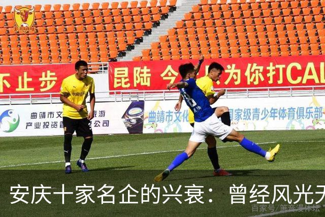 安庆十家名企的兴衰：曾经风光无限，如今只剩叹息