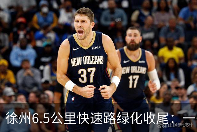 徐州6.5公里快速路绿化收尾：一条高架的价值，一半在桥面上，一半在桥下