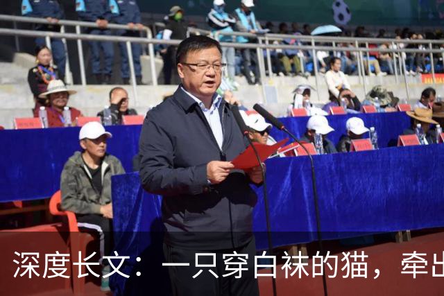 深度长文：一只穿白袜的猫，牵出 3 亿年前生命的建造法则！