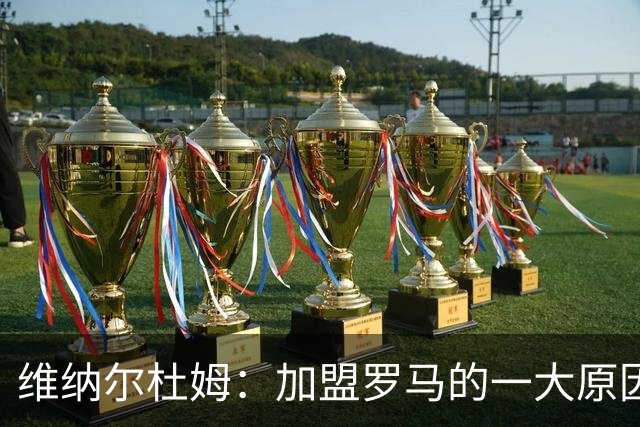 维纳尔杜姆：加盟罗马的一大原因是因为萨拉赫的推荐