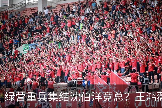 绿营重兵集结沈伯洋竞总？王鸿薇示警：蒋万安辩论恐遭断章取义