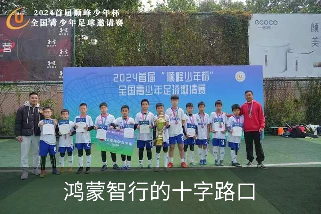 鸿蒙智行的十字路口